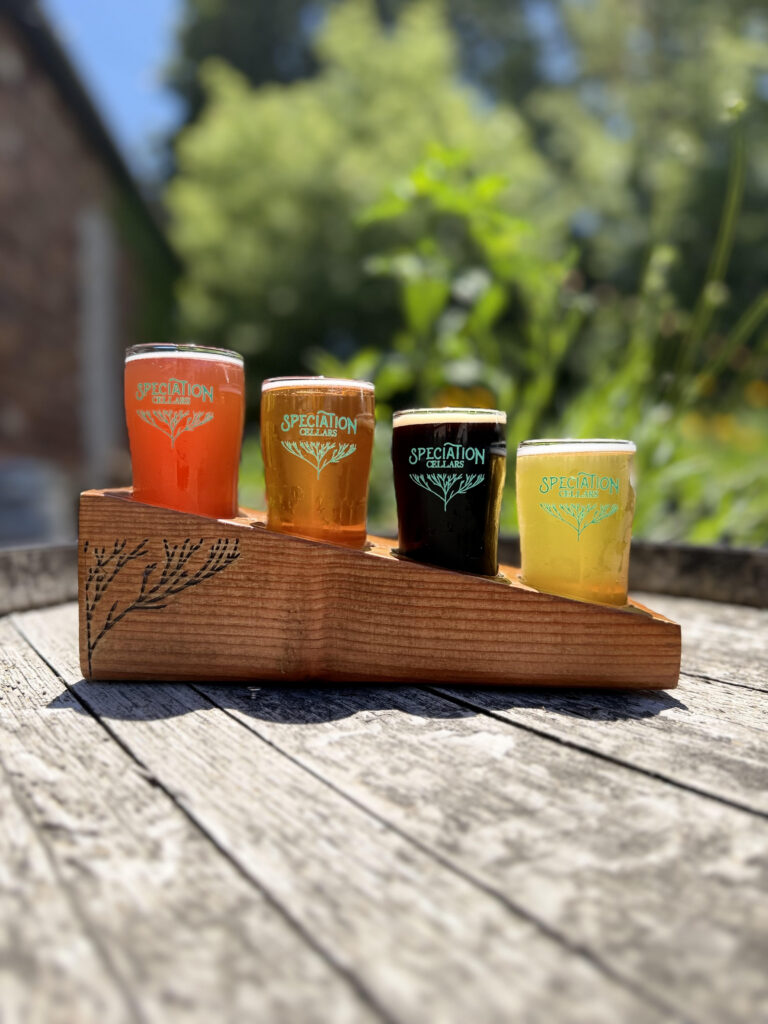Speciation Cellars